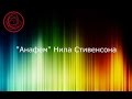 Сергей Переслегин. Политический спектр. "Анафем" Нила Стивенсона