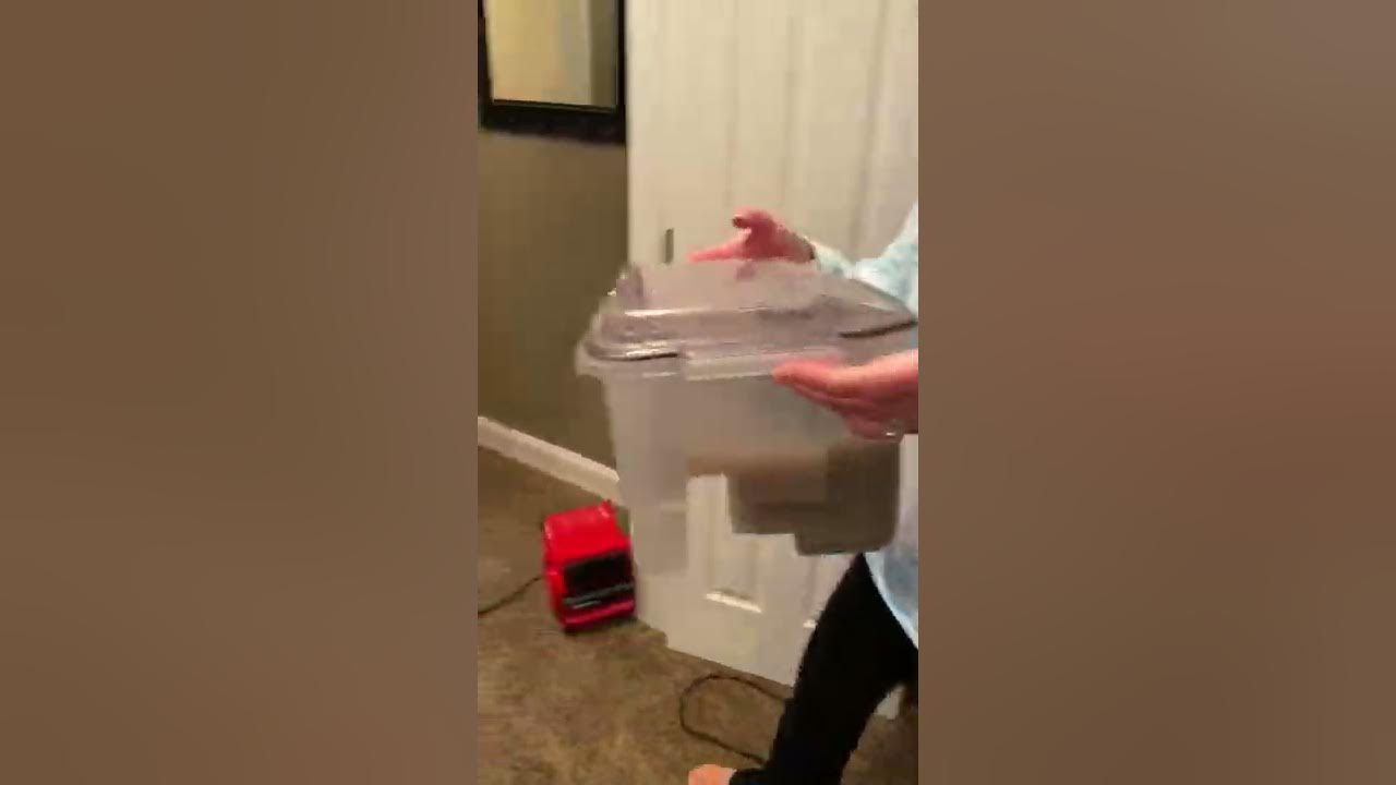 Zerorez carpet cleaning review in real time YouTube