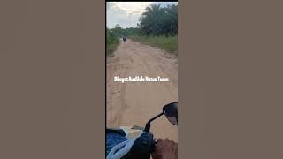 Beta Tu Papua - Arghana Trio