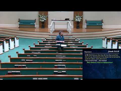 Video preview