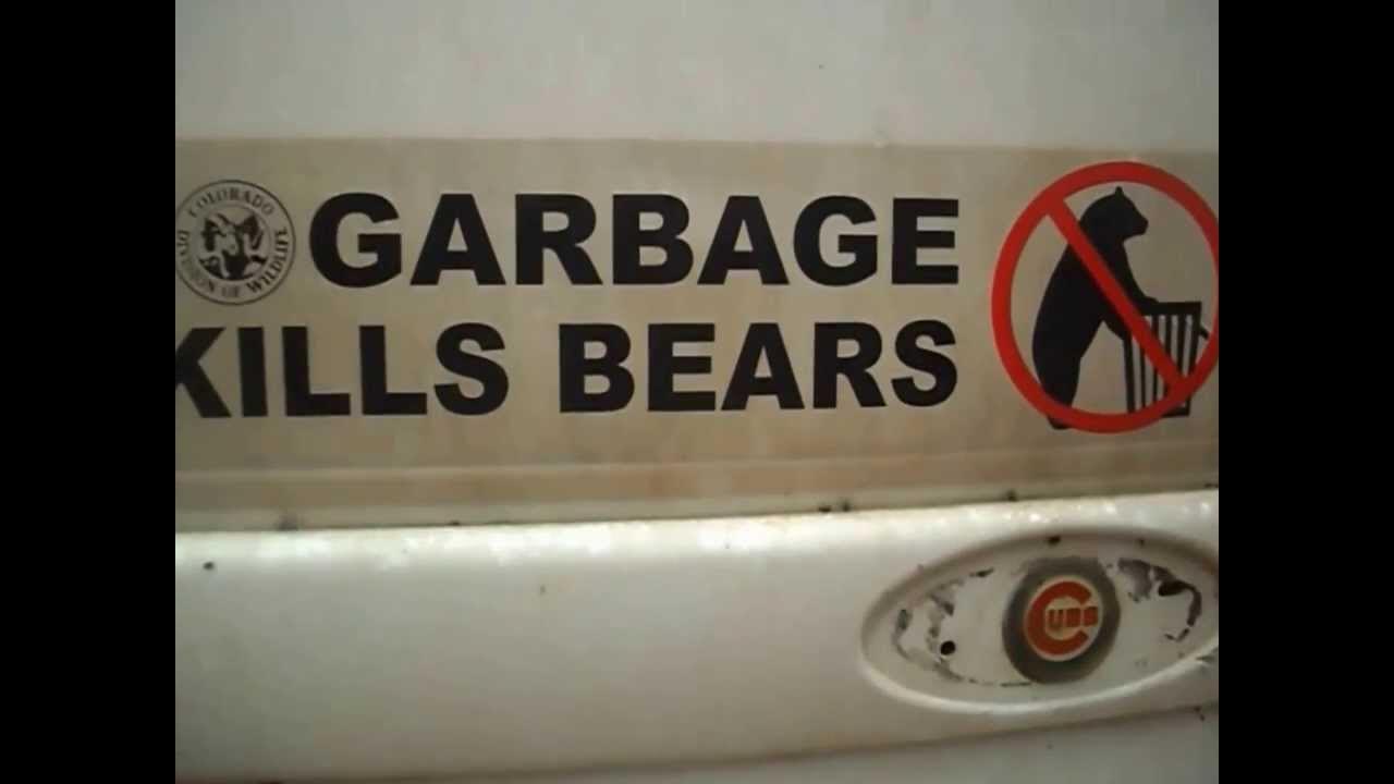 finally! easy way to keep bears out of your trash YouTube