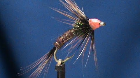 Beginner Fly Tying a Hot Head Pheasant Tail Cruncher with Jim Misiura