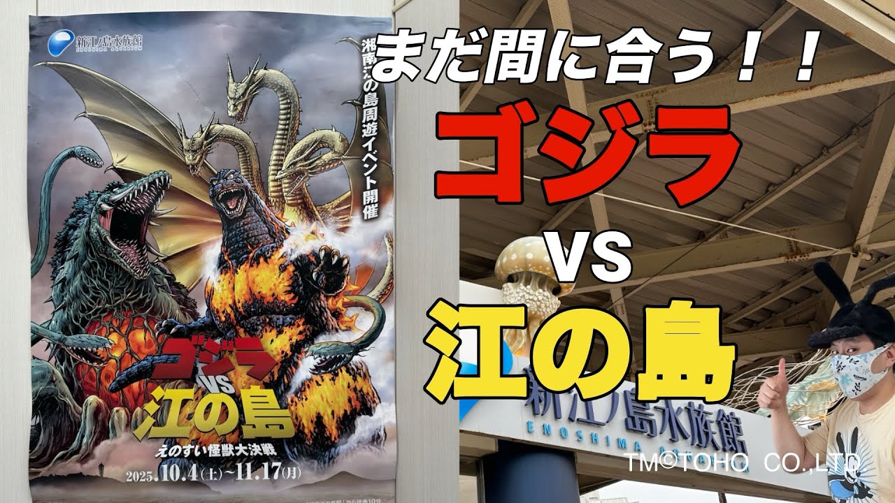 作戦会議】ゴジラVS江の島 えのすい怪獣大決戦!!新江ノ島水族館の 作戦会議】ゴジラVS江の島 えのすい怪獣大決戦!!新江ノ島水族館の