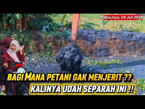 PANTAS SAJA PENTANI MENJERIT KEKERINGAN ‼️ KALI IRIGASINYA UDAH SEPARAH INI ‼️ PENUH LULPUR & SAMPAH