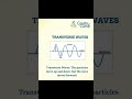 Transverse waves #shorts #waves #education #physics #physicsshorts #cbse #cbseclass10 #jeemains