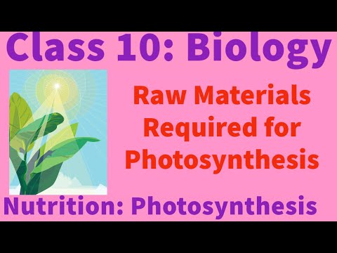 Class 10 Biology-Nutrition-Raw materials required for photosynthesis