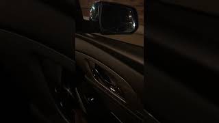 IMG 6381