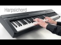 YAMAHA P45 88鍵電鋼琴 黑色 product youtube thumbnail