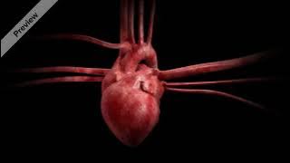 مقطع مونتاج قلب ينبض    ||بدون حقوق هنا المزيد من المقاطع