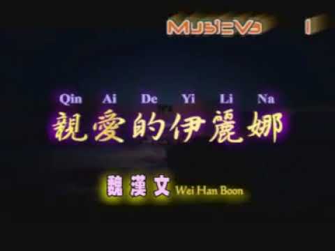 魏漢文  - 親愛的伊莉娜 【Original Karaoke】