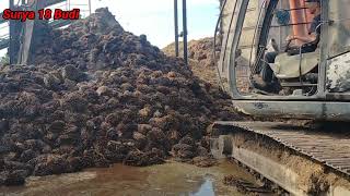 Muat jangkos dengan menggunakan alat berat Hitachi ‼️ gratis 