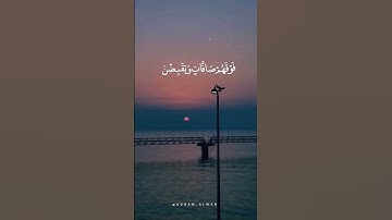 ماهر المعيقلي سورة الملك ﴿أَوَلَمۡ یَرَوۡا۟ إِلَى ٱلطَّیۡرِ فَوۡقَهُمۡ صَـٰۤفَّـٰتࣲ ﴾ #quran