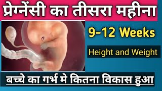 Baby Growth In Third Month Of Pregnancy|| Big Hormonal Changes in Pregnant Women in 3rd month ||