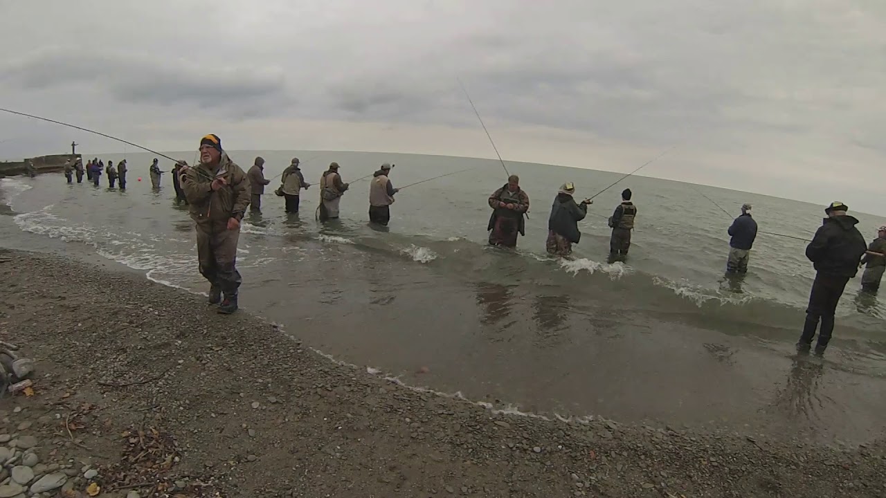 Trout Run - steelhead run on full-throttle