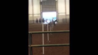 20130830_222826.mp4(7)