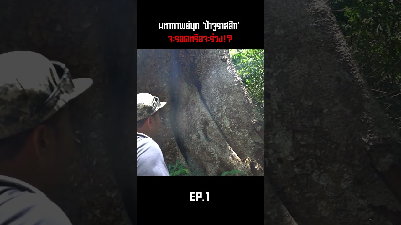มหากาพย์บุก 'ป่าจูราสสิก' จะรอดหรือจะร่วง!?  @Jocho_Sippawat