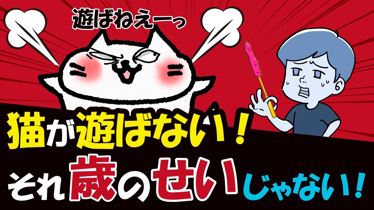 The reason why your cat suddenly stopped playing is 