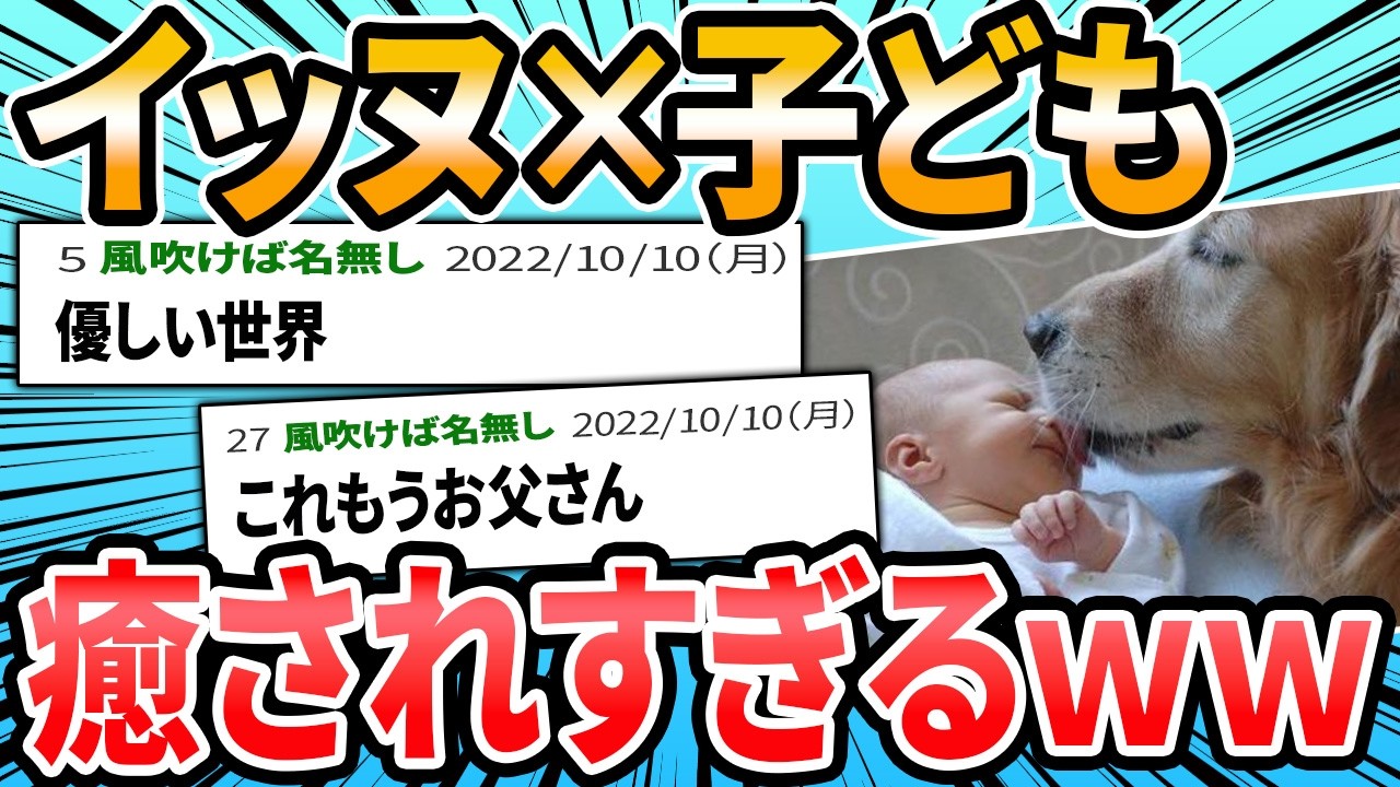 【超有能】イッヌ「そっち行ったら危ないで！！」【2ch面白いスレ】