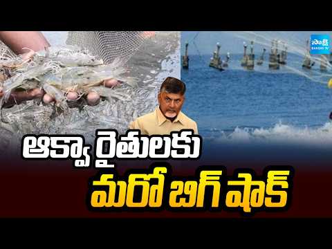 ఆక్వా రైతులకు మరో బిగ్ షాక్ | Big Shock To Aqua Farmers | Kutami Govt | Chandrababu Fails |Sakshi TV - SAKSHITV