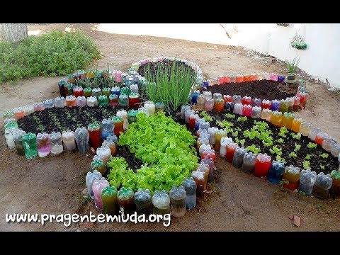 لاترمي قنينات البلاستيك زيني منزلك بنبتات