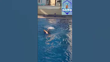 Nano Swimming Bahrain 