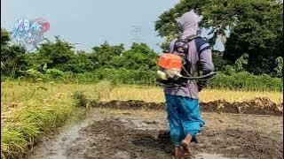 Mesin Penggembur Tanah || Bajak Sawah Pakai Mesin Potong Rumput#potongrumput