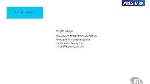 Wireshark - OSI Layer 2
