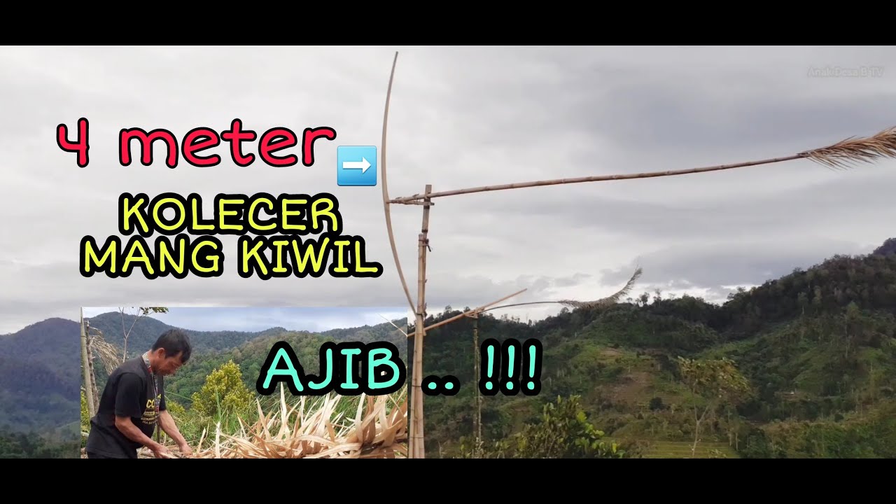 KOLECER MANG KIWIL AJIB || seru ulin dipamatang