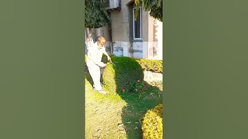 Juniper cutting design #horticulture #foryou