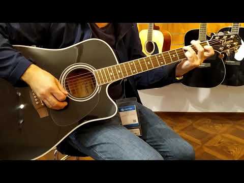 Muztorg. Takamine GD93