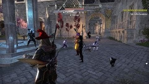 The Elder Scrolls Online: Tamriel Unlimited playing lute