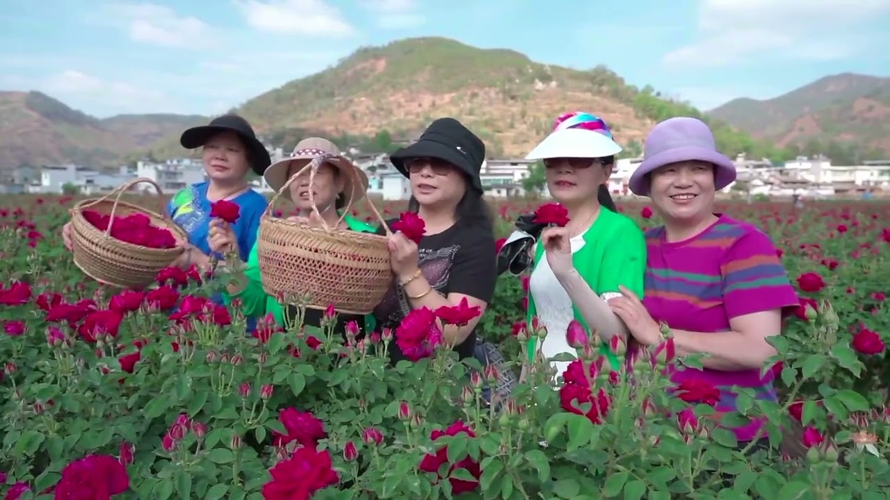 "Valle d'Oriente delle rose" di Yao'an (Yunnan)
