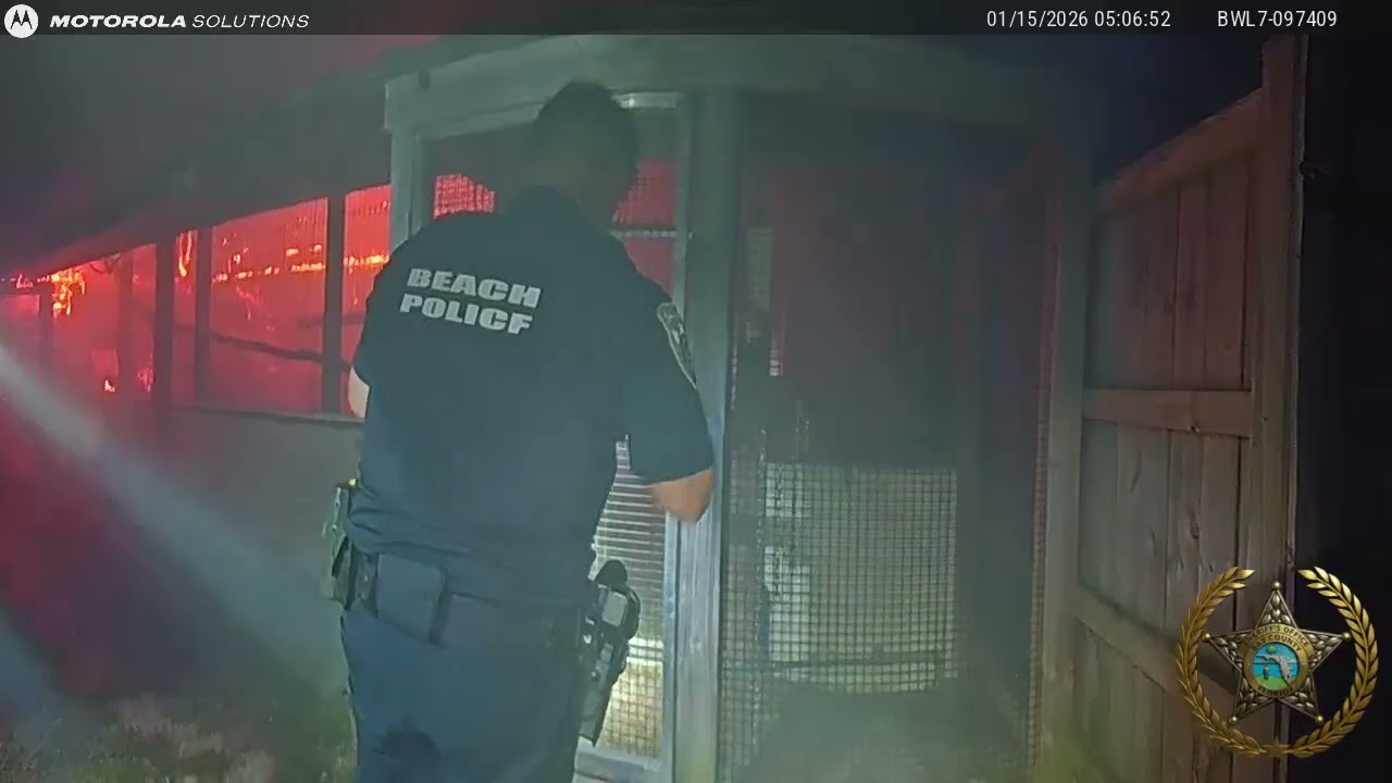 ZooWorld Fire - First 5 Minutes