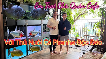 Chàng Trai có thú nuôi cá độc đáo “không dành cho người yếu tim”