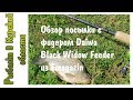 Обзор посылки с фидером Daiwa Black Widow из Fmagazin ru