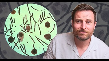 How Anthrax Changed Infectious Disease