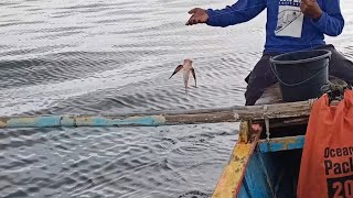 HANDLINE FISHING MUNA TAYO
