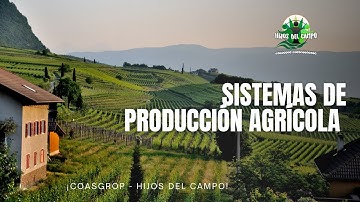 SISTEMAS DE PRODUCCIÓN AGRÍCOLA