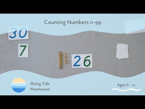 Counting Numbers 11-99