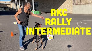 AKC Rally Intermediate Explained and Demonstrated