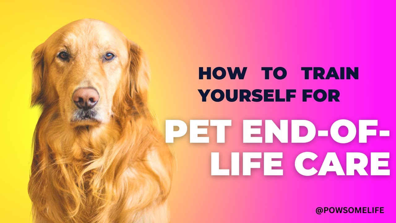 Navigating Pet End-of-Life Care: Compassion, Comfort, and Closure 🌈🐾