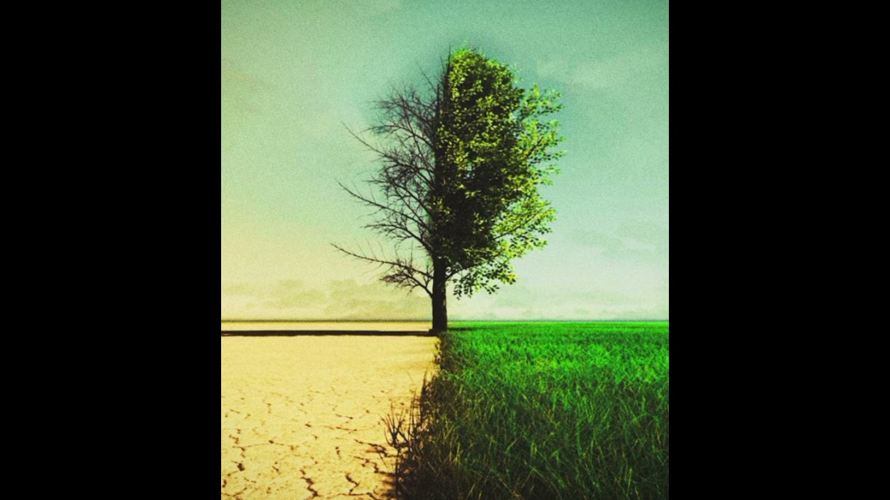 Jesús mi salvación 