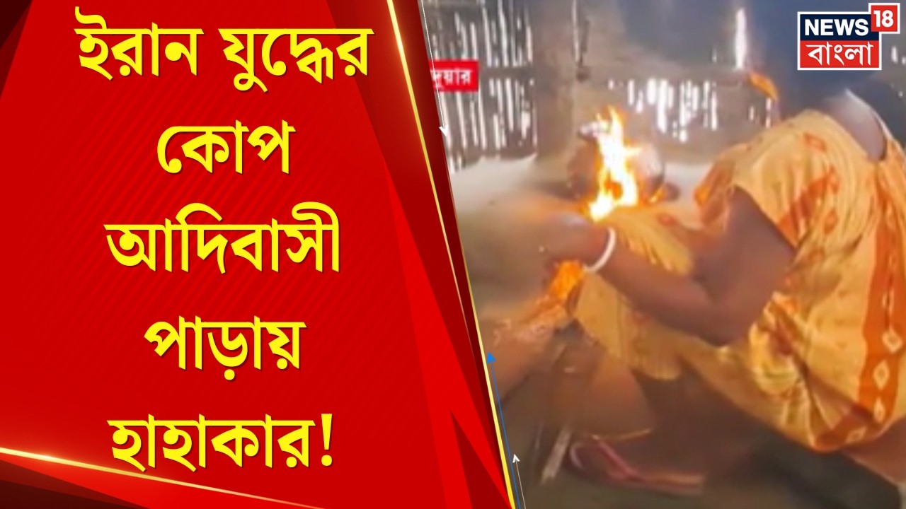 LPG News Today | West Asia War এর কোপ! রান্নাঘর ছেড়ে ফের জঙ্গলে আদিবাসীরা | Bangla News