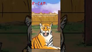 How Tigers Get Their Stripes