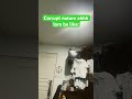 CORRUPT NATURE!!!!! #shorts #fyp #forsaken #forsakenroblox #memes #funny