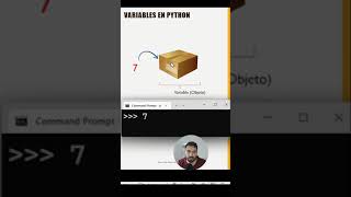 Crear Variables en Python Wealth