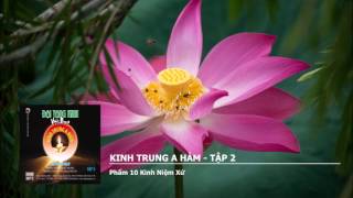 Tổng hợp 4 kinh trung a hàm hay nhất được tổng hợp