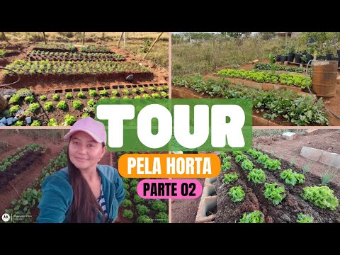 TOUR PELA HORTA DA IVONE COM TODOS OS DETALHES - 2ª PARTE