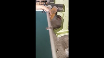 Sports Equipment Luggage Riveting Machine Hollow Nail Semi Automatic Golf Bag Riveting Machine