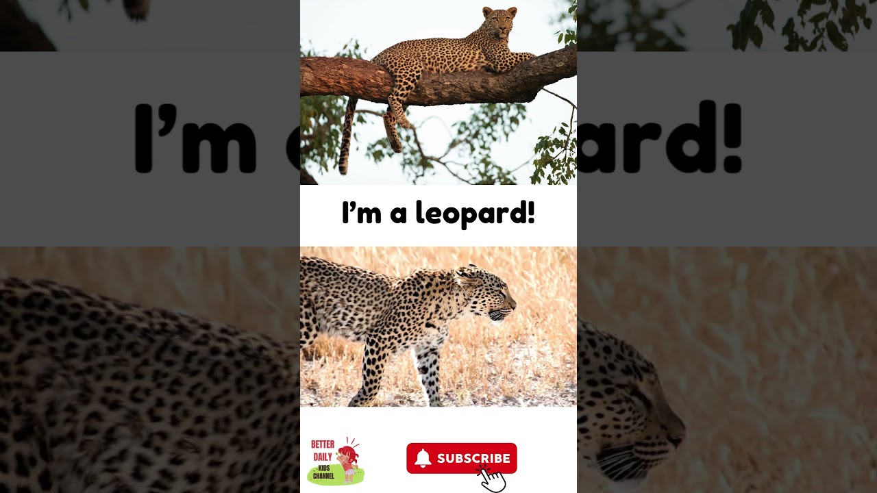 Explore the Animal Kingdom | Animal Quiz for Kids | Animal Riddles | Quiz Time 